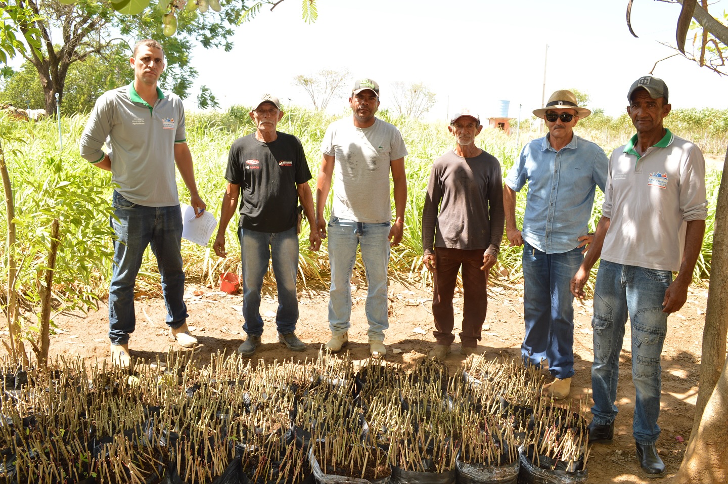 Fortalecendo a Agricultura Familiar!
